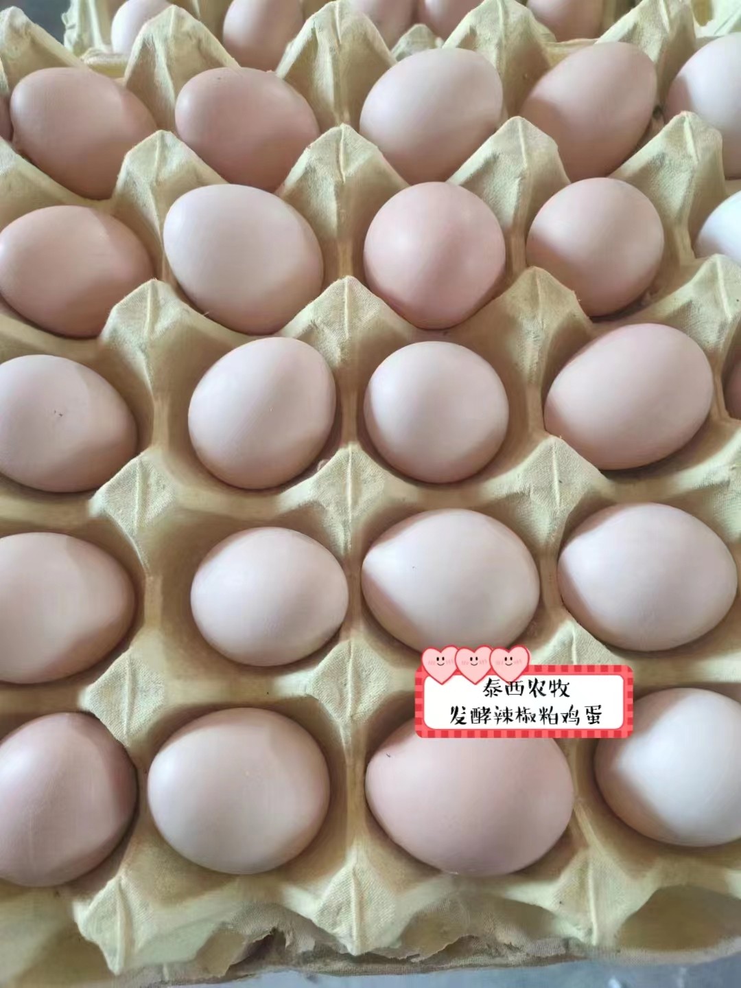 添加泰西農(nóng)牧蛋雞辣椒專用油粉對暗斑蛋蛋殼質(zhì)量更易碎裂有改變