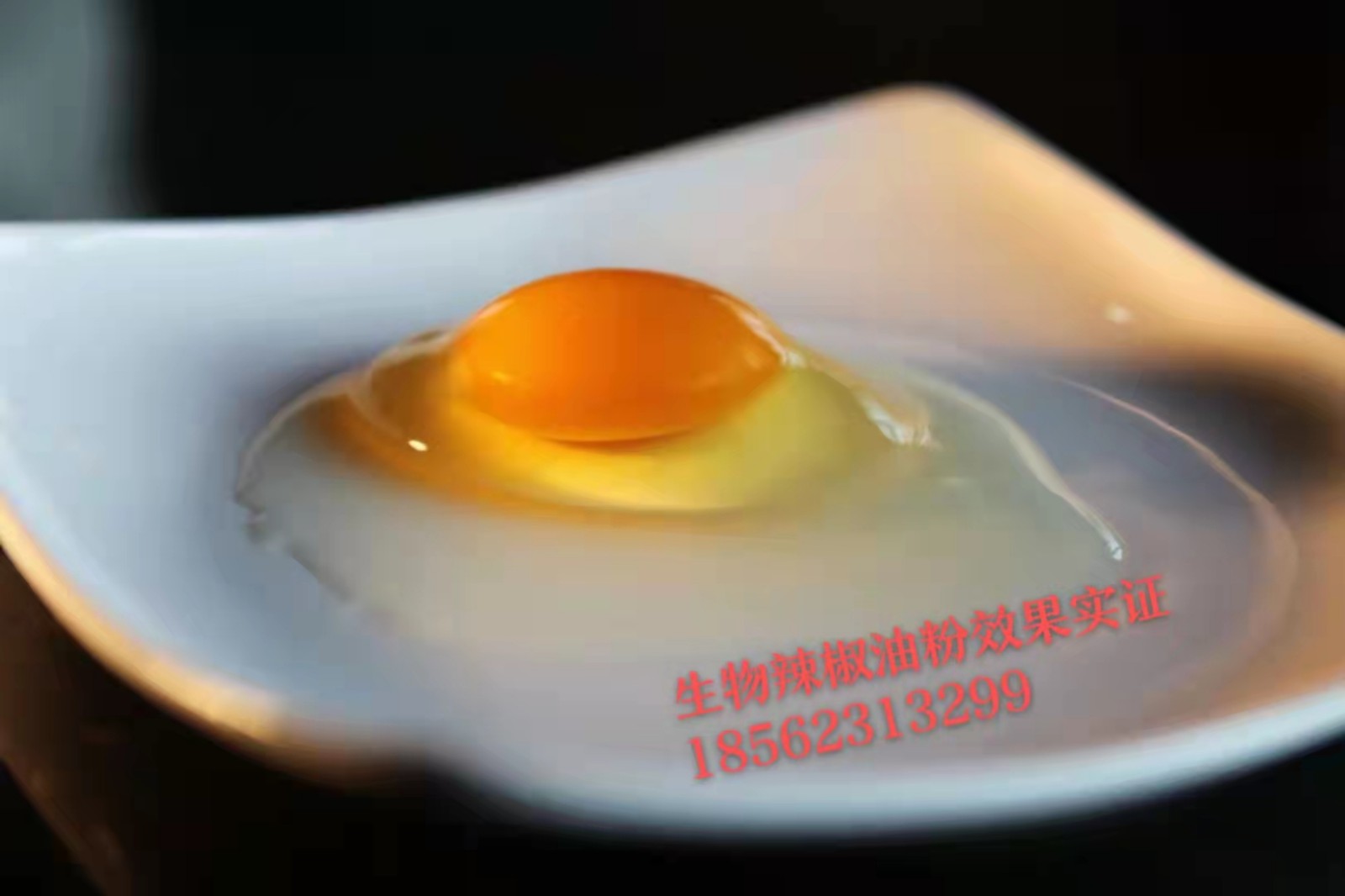 夏季高溫高濕條件下添加生物辣椒油粉保證蛋雞采食量