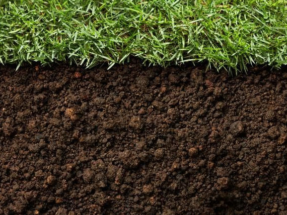 醫(yī)療廢物具體會(huì)造成哪些危害